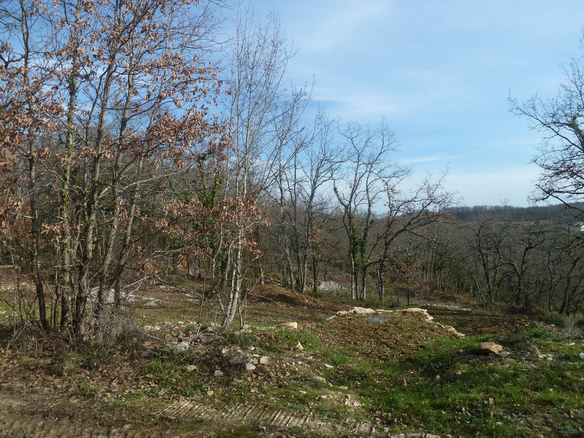 Maison ossature bois à rénover au cœur de la nature 