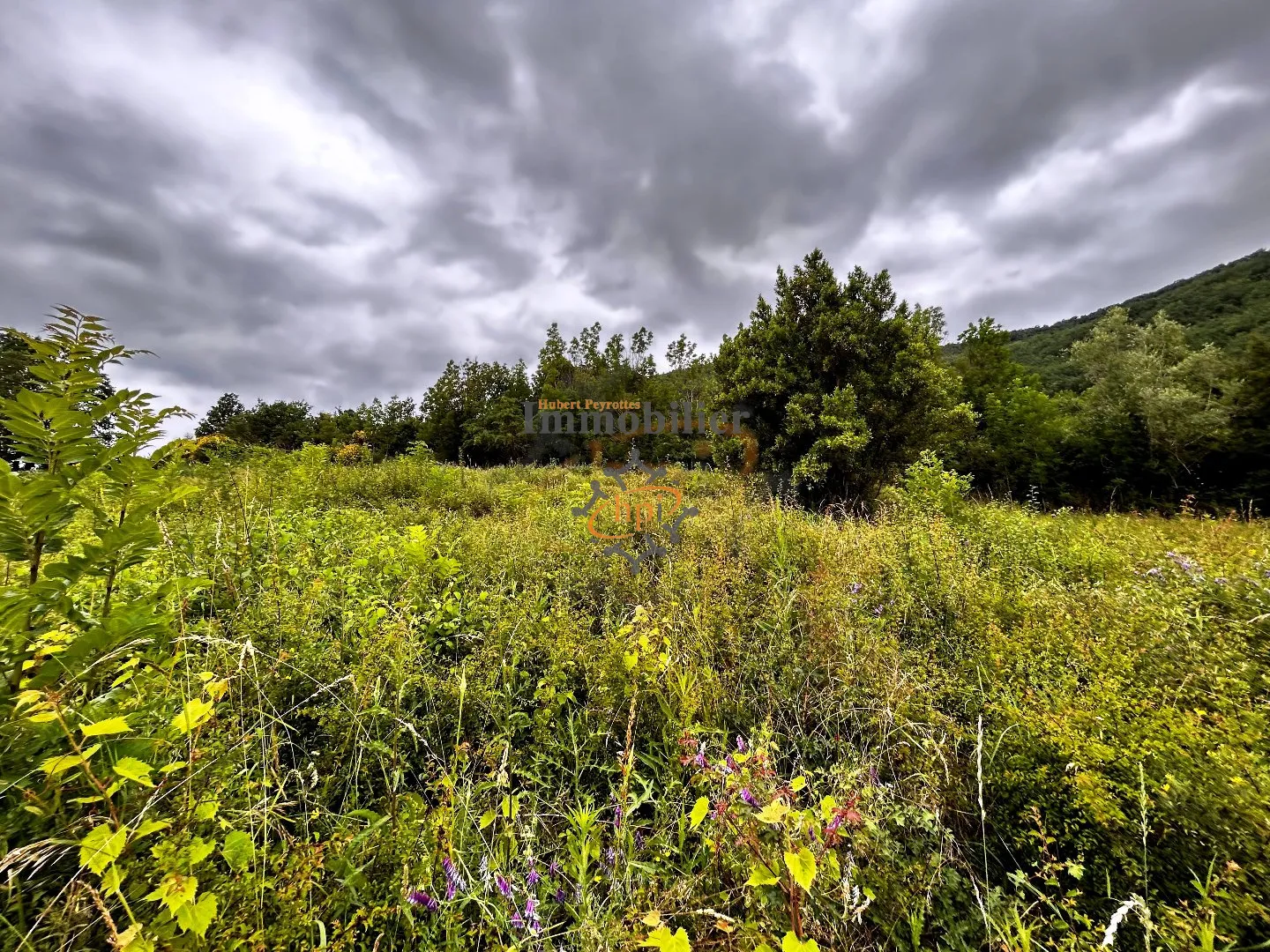 Terrain à bâtir avec vue dominante à Saint Affrique 