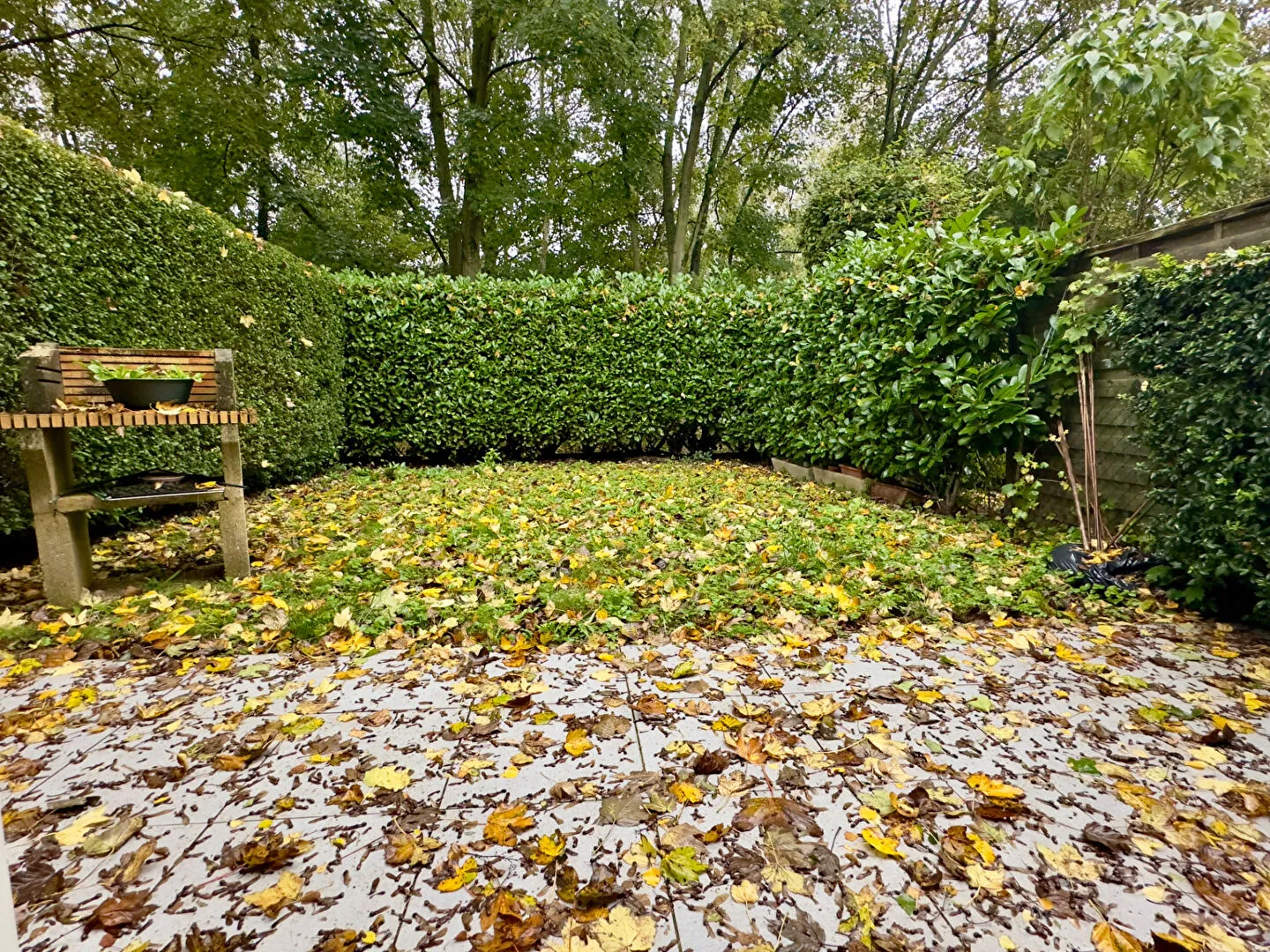 Maison 5 pièces avec jardin à Villeneuve d'Ascq 