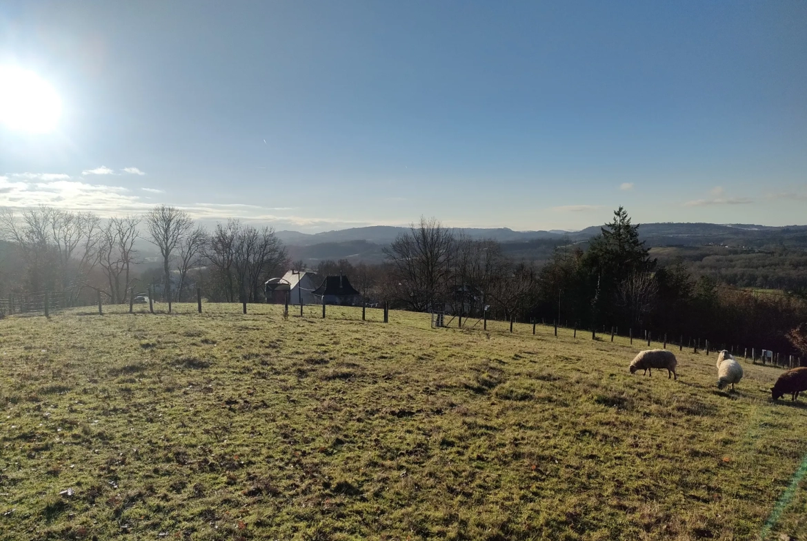 Terrain de 1966 m2 à Juillac avec vue magnifique 