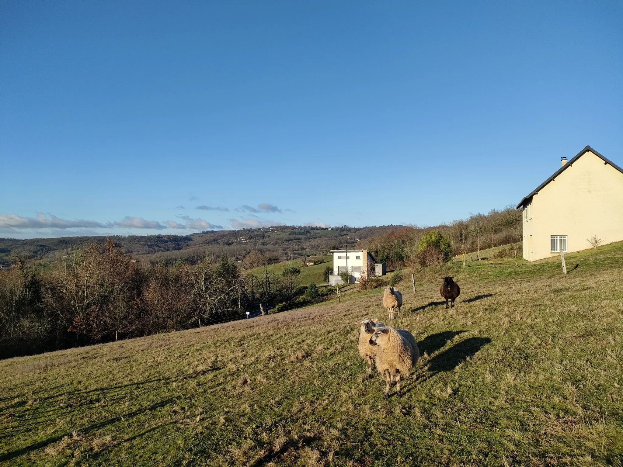 Terrain de 1966 m2 à Juillac avec vue magnifique 