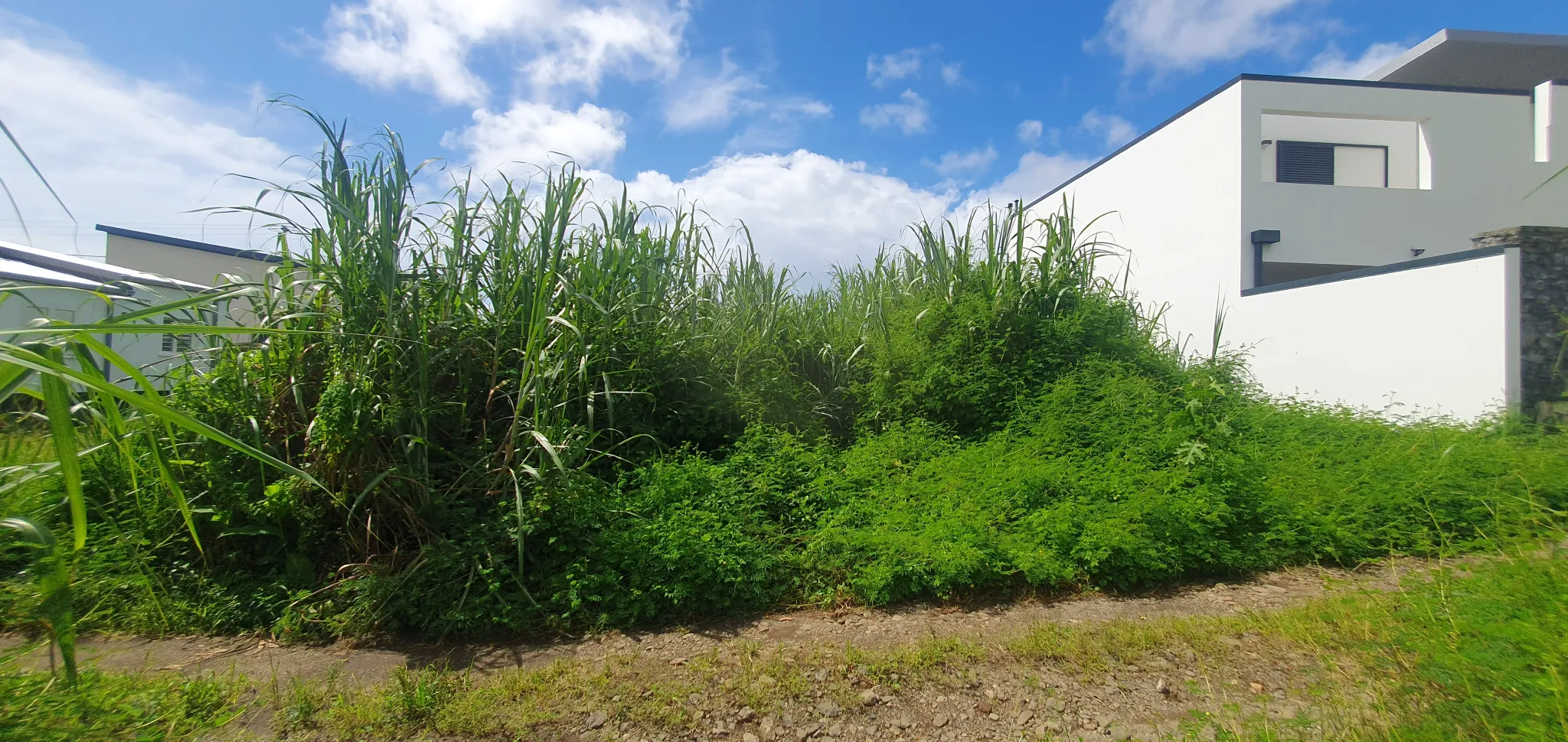 Terrain constructible 509 m2 à Sainte-Suzanne 