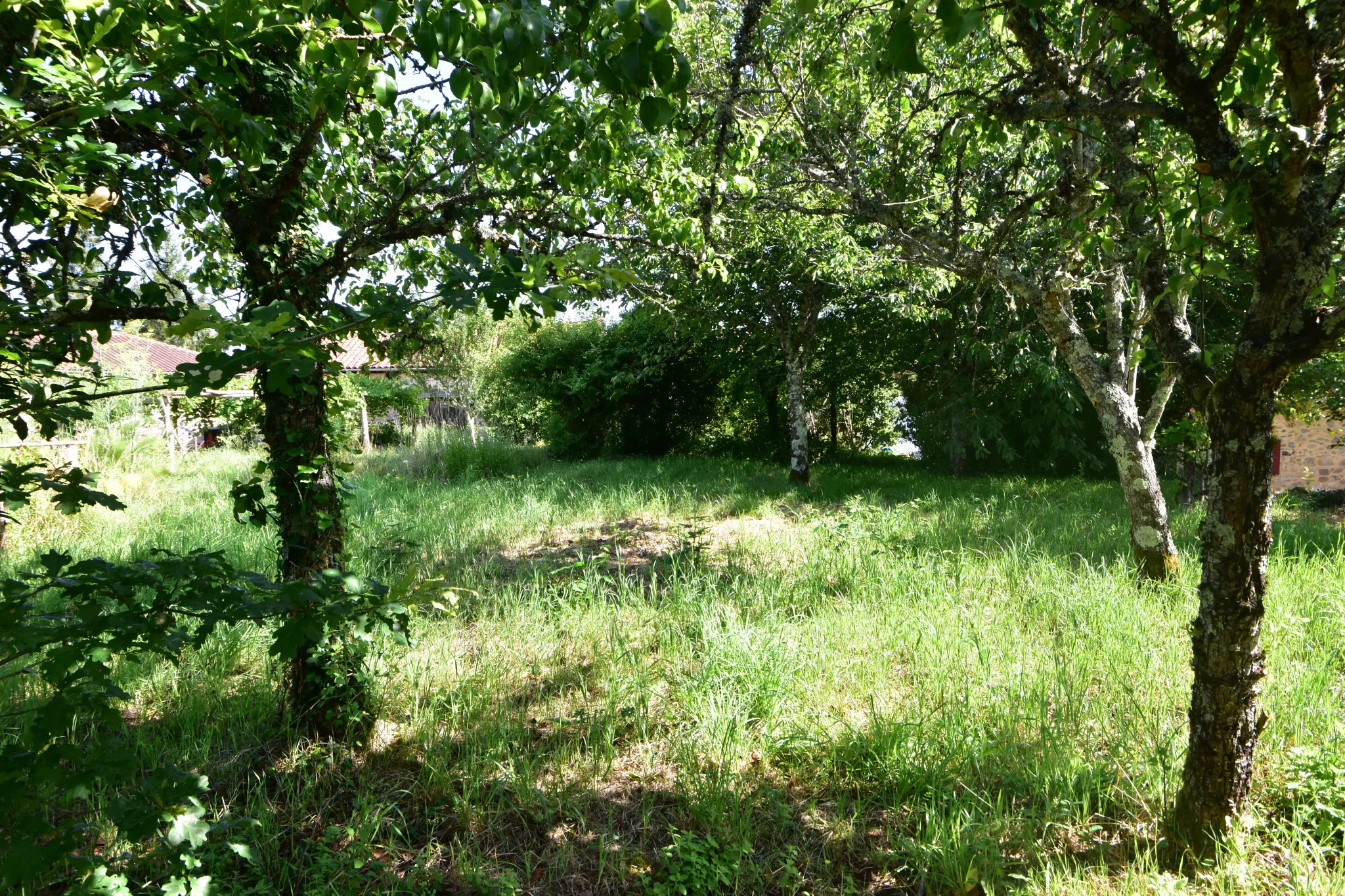 Maison de Village à Rénover avec Grange - Busserolles 