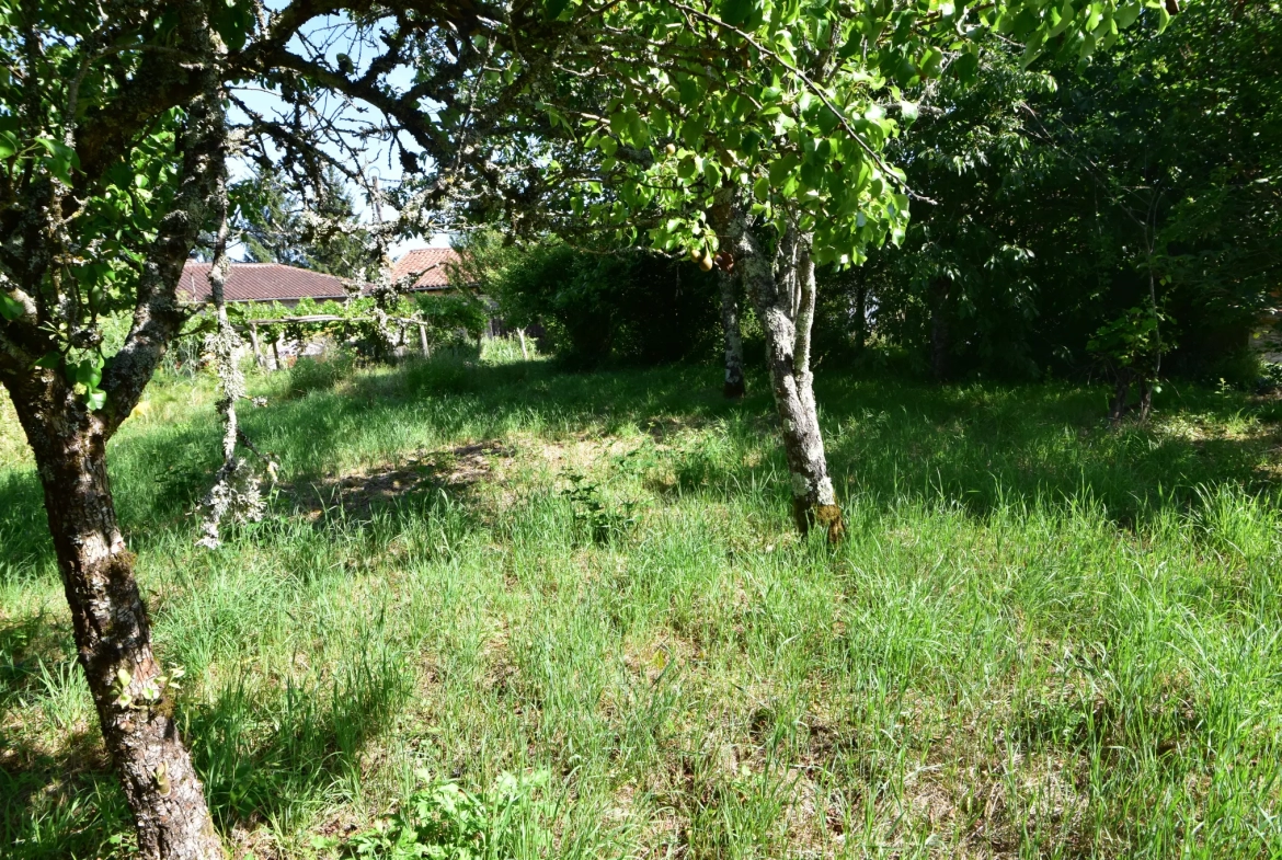 Maison de Village à Rénover avec Grange - Busserolles 