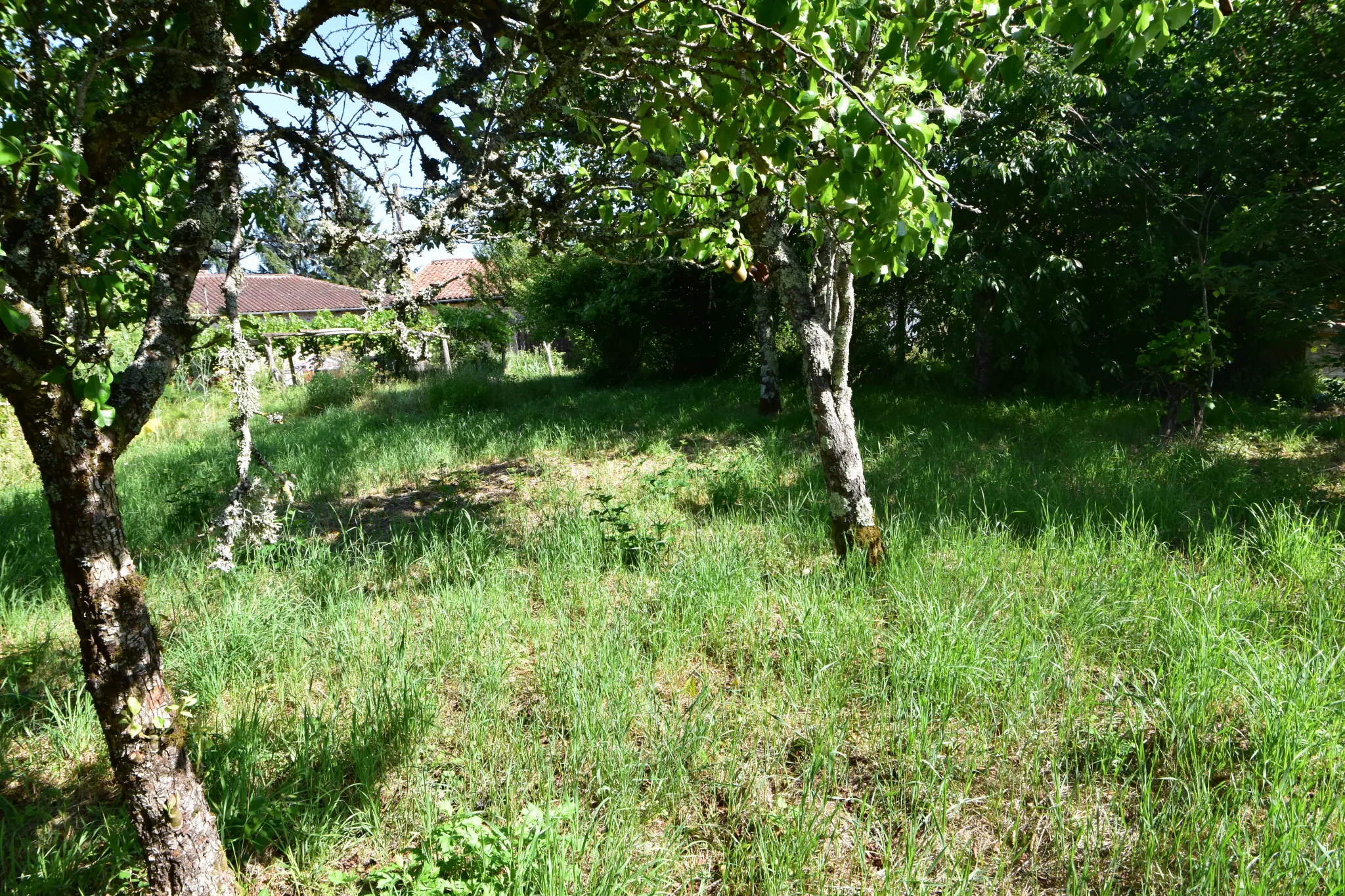 Maison de Village à Rénover avec Grange - Busserolles 