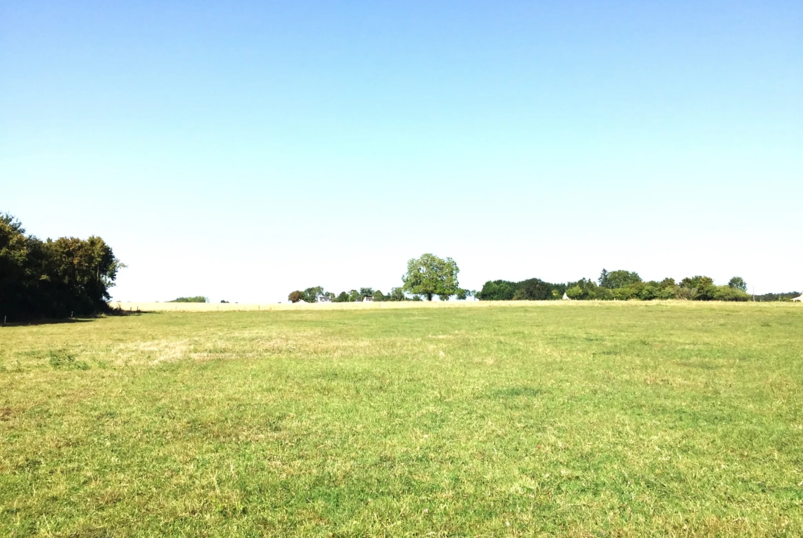 Maison Rénovée au Plessis-Grammoire avec Terrain 31988 m2 