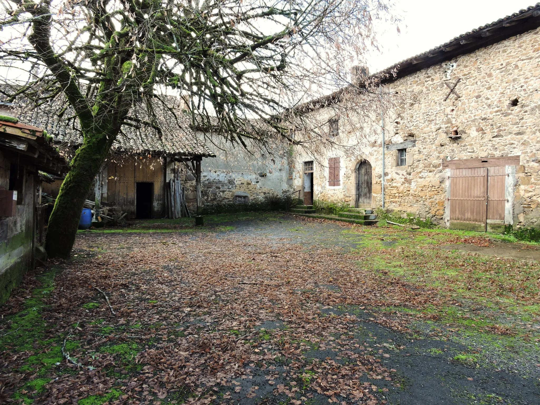 Corps de ferme avec plus d'un hectare à rénover à Ecuras 