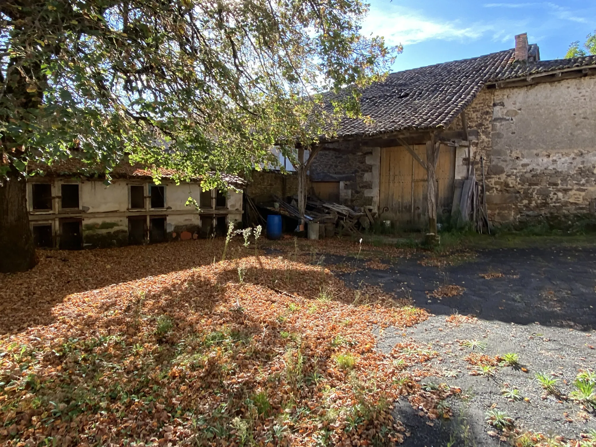 Corps de ferme avec plus d'un hectare à rénover à Ecuras 