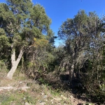 Terrain à Brando avec Vue Mer