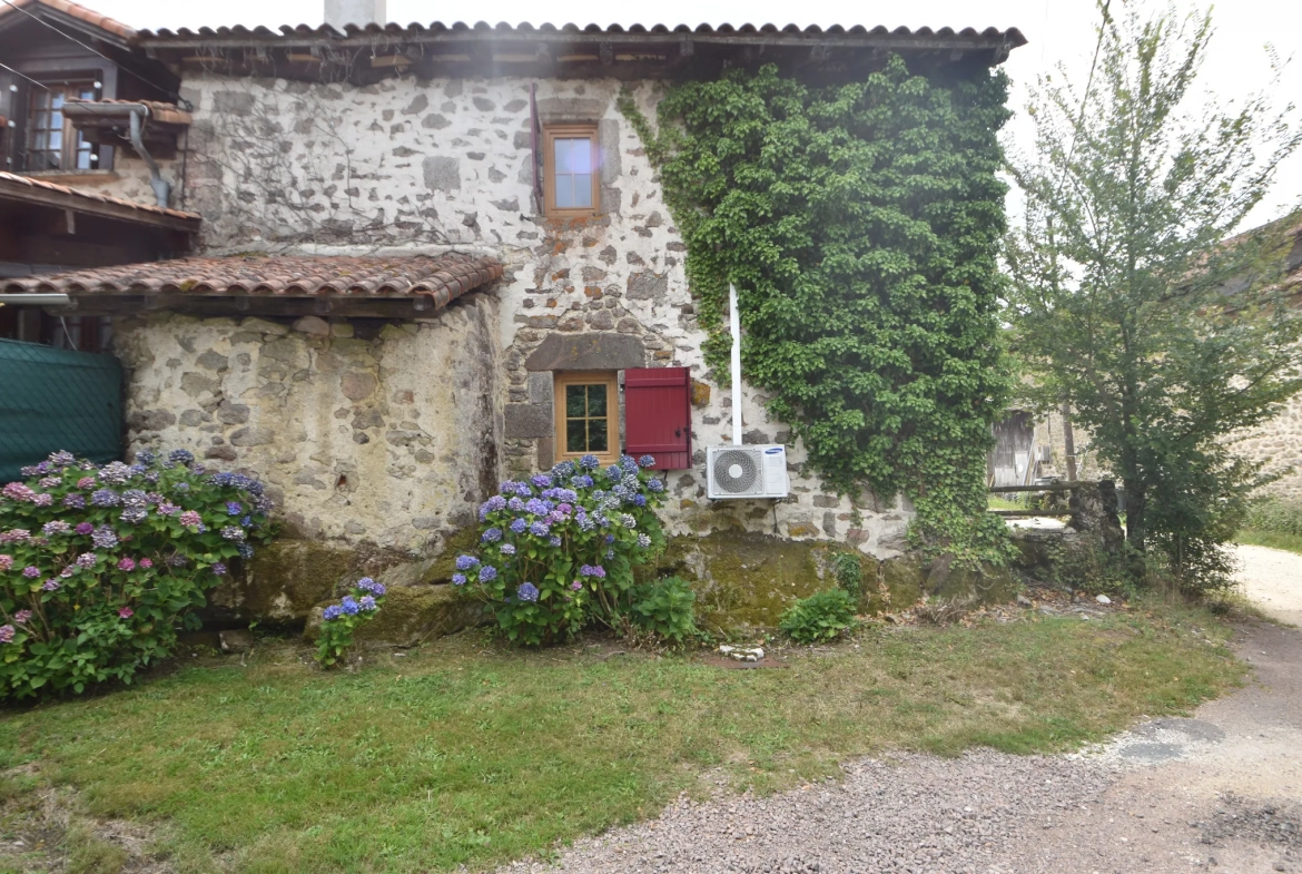 Maison en pierre avec piscine à Champniers et Reilhac 