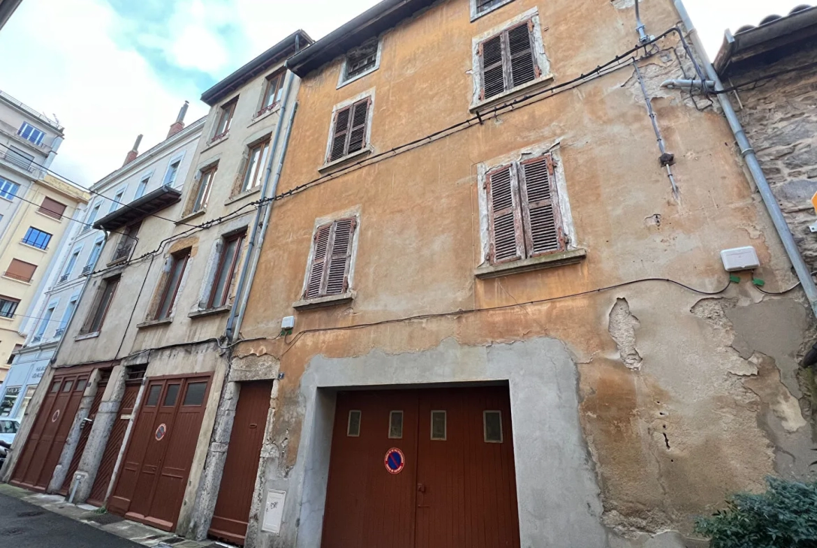 Investment Building in Vienne City Center with Garage 