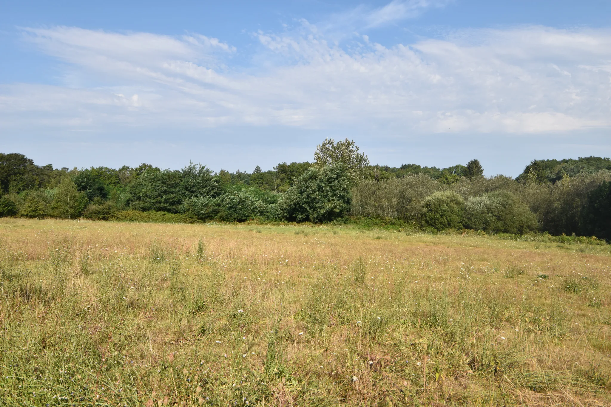 Maison en pierre de plain pied avec grange sur 2 ha de terrain 