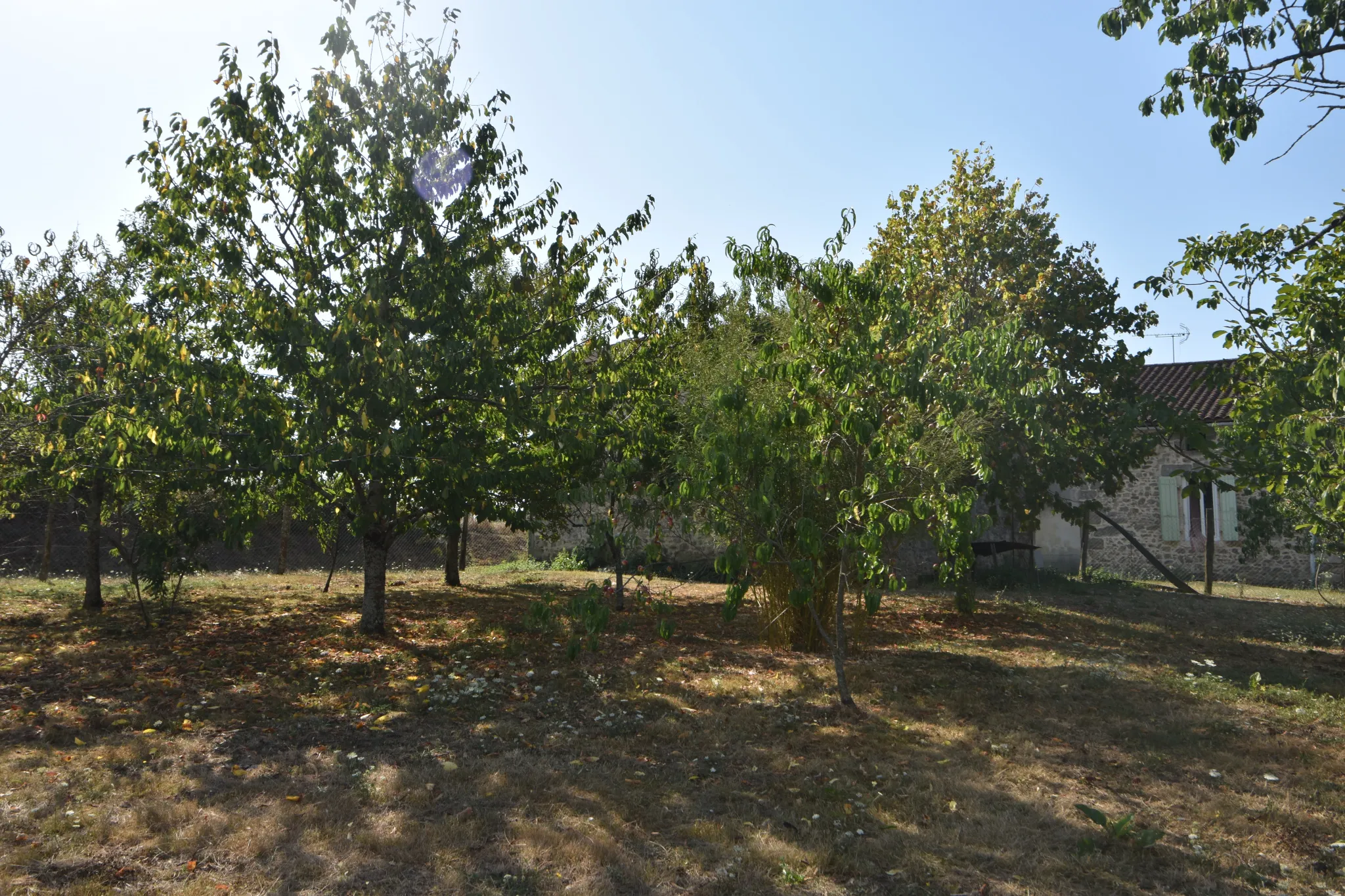 Maison en pierre de plain pied avec grange sur 2 ha de terrain 