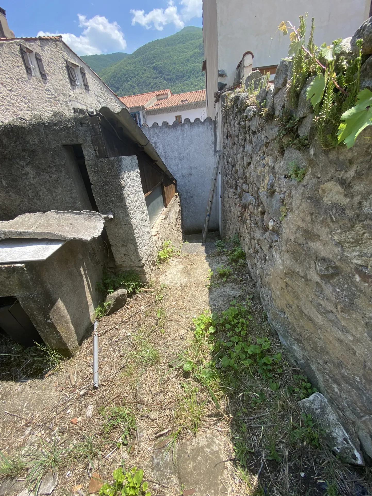 Appartement F1 à Arles-Sur-Tech avec jardin et casot 