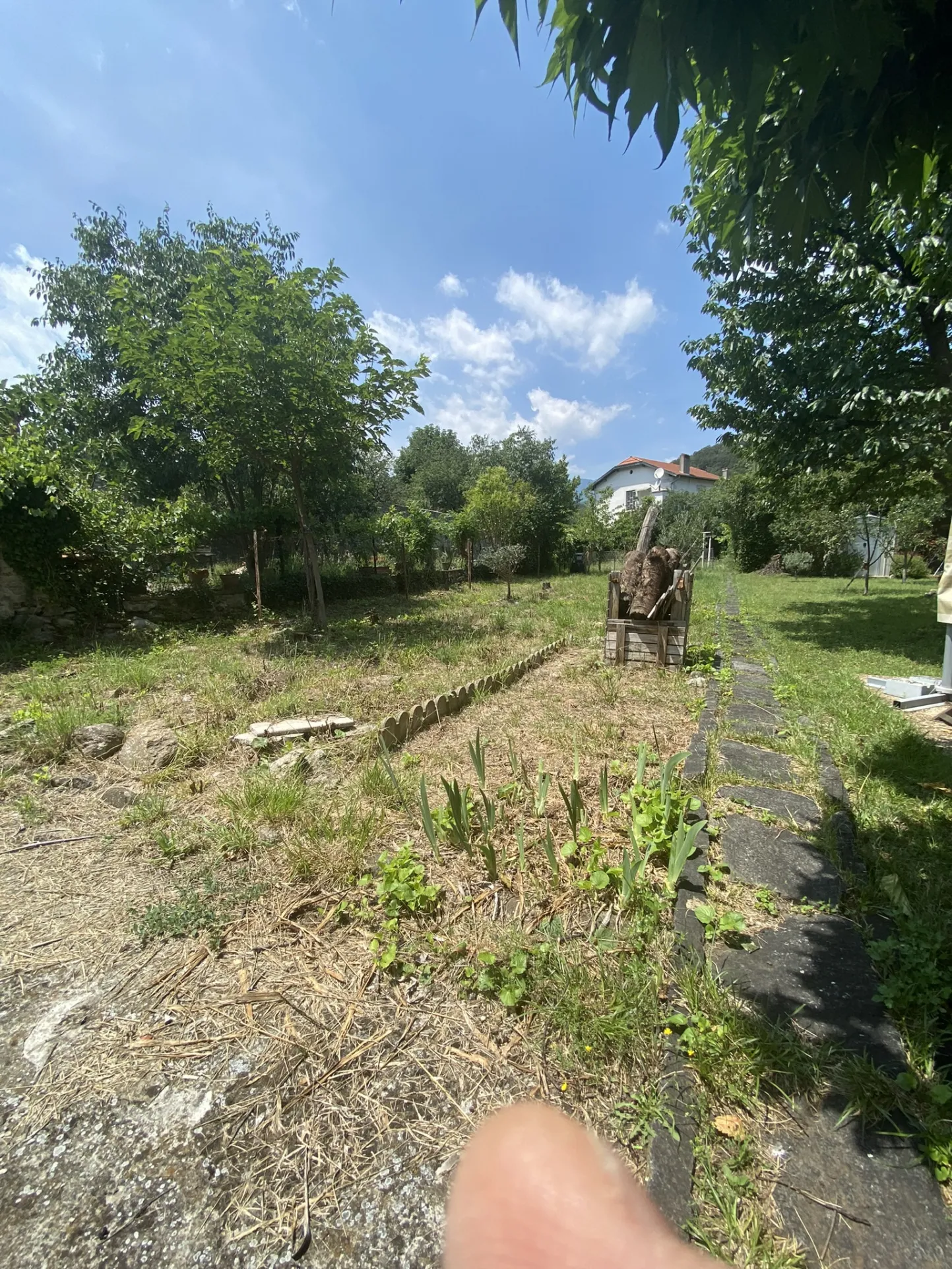 Appartement F1 à Arles-Sur-Tech avec jardin et casot 