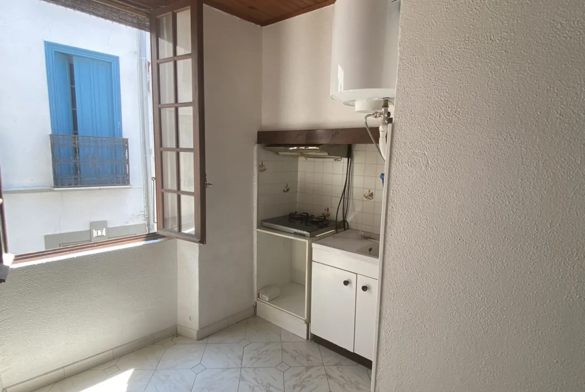 Appartement F1 à Arles-Sur-Tech avec jardin et casot 