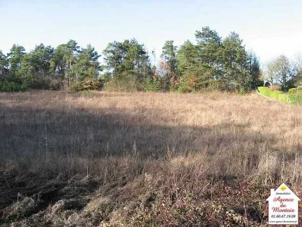 Terrain à bâtir de 2667 m2 à Pont-sur-Yonne