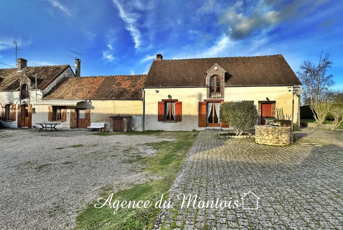 Charmante fermette à Bray sur Seine avec jardin et garages 