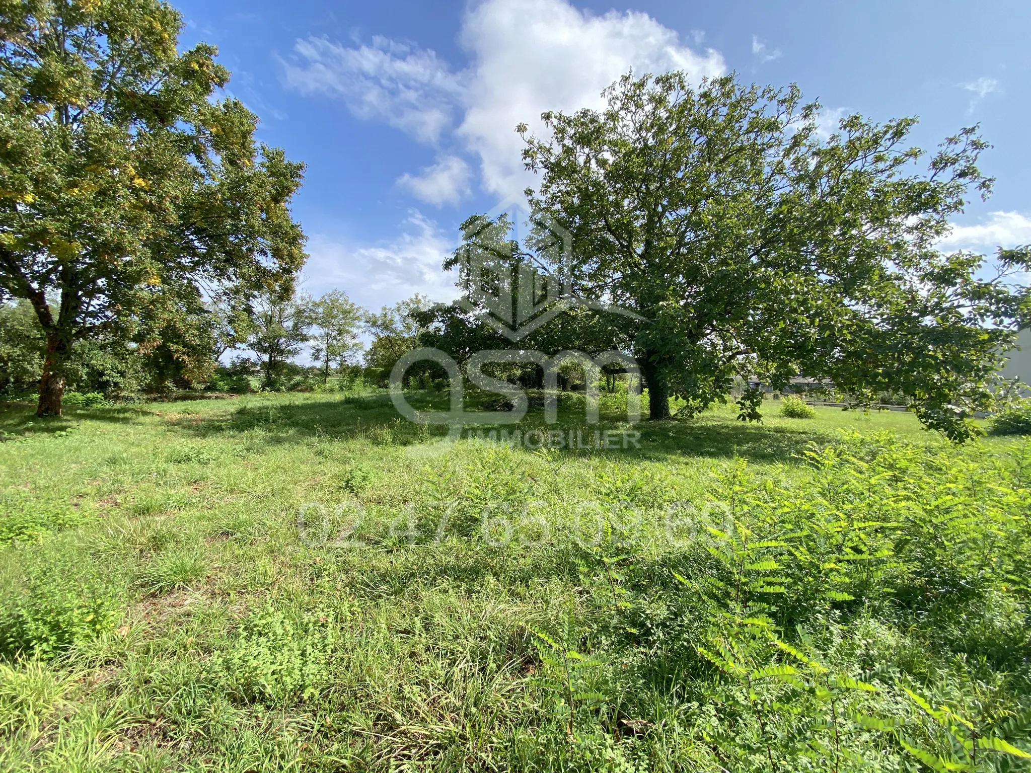 Grange 480m2 sur 2600m2 de terrain à Maille 