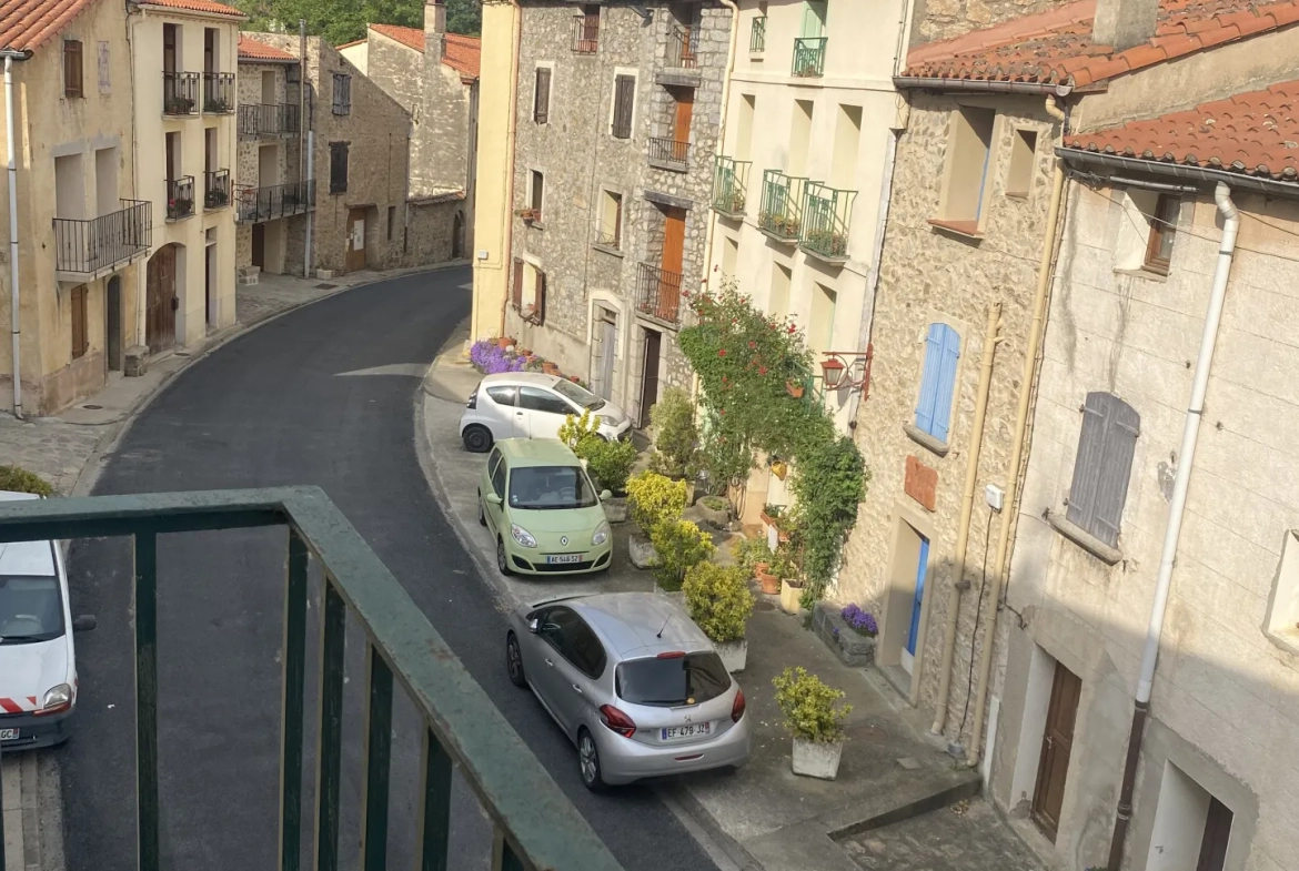 Maison de Village avec Garage et Jardin non attenant à Haut Vallespir 