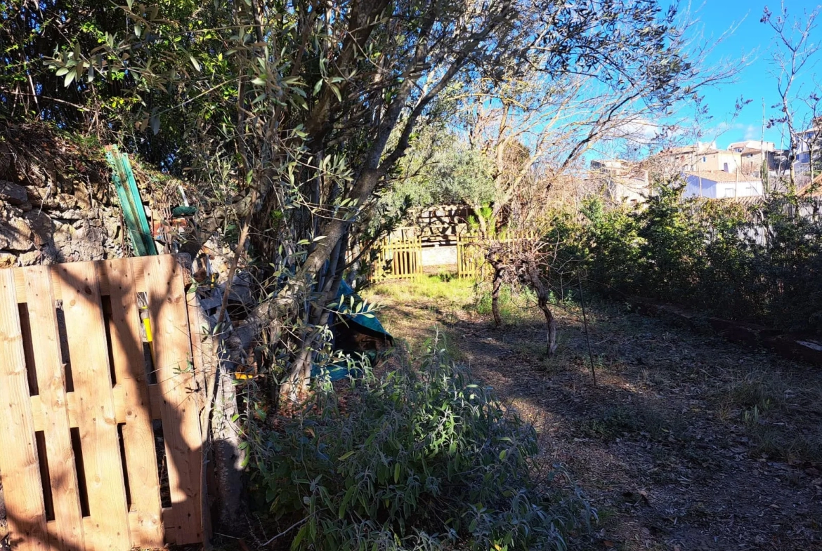 Maison de village rénovée avec jardin à Peynier 