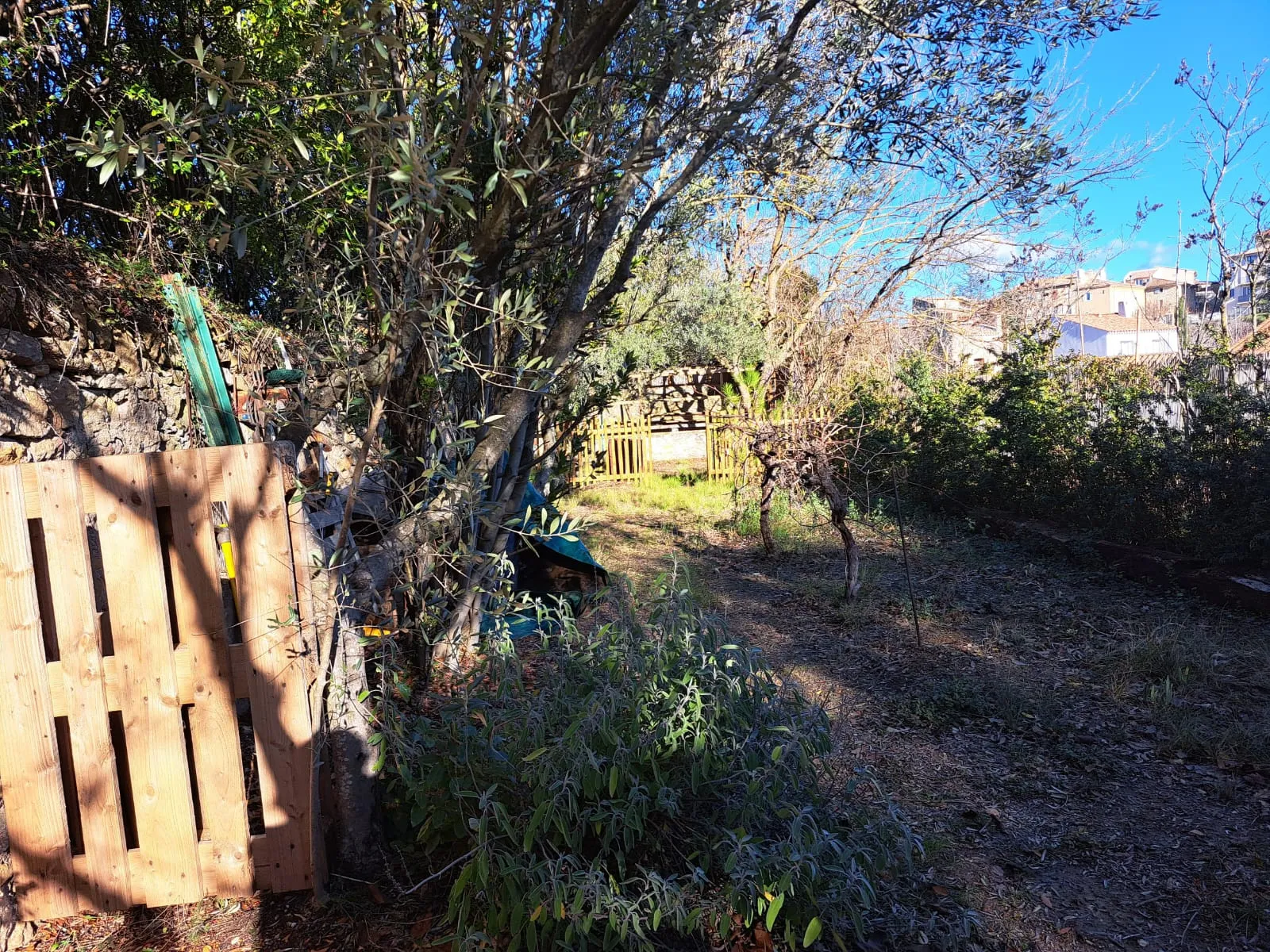 Maison de village rénovée avec jardin à Peynier 