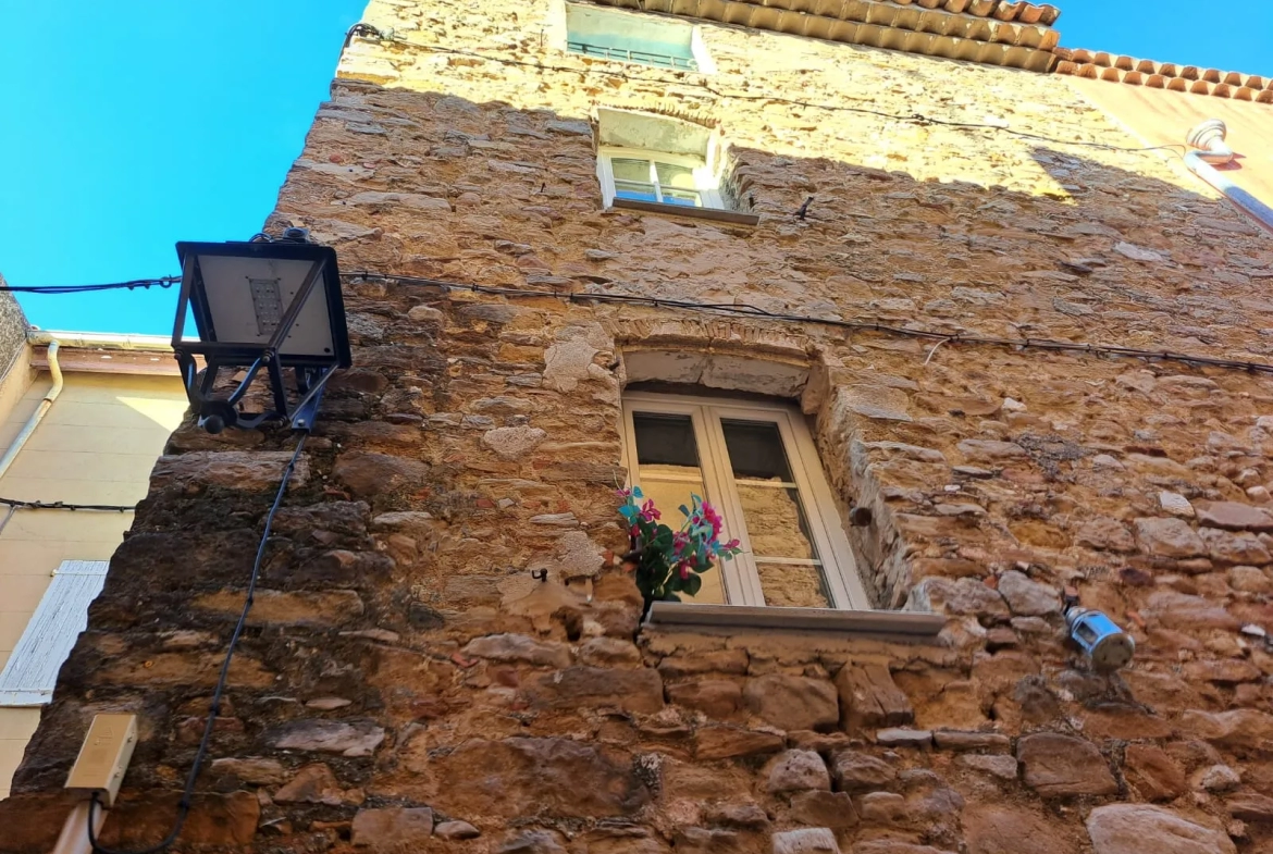 Maison de village rénovée avec jardin à Peynier 