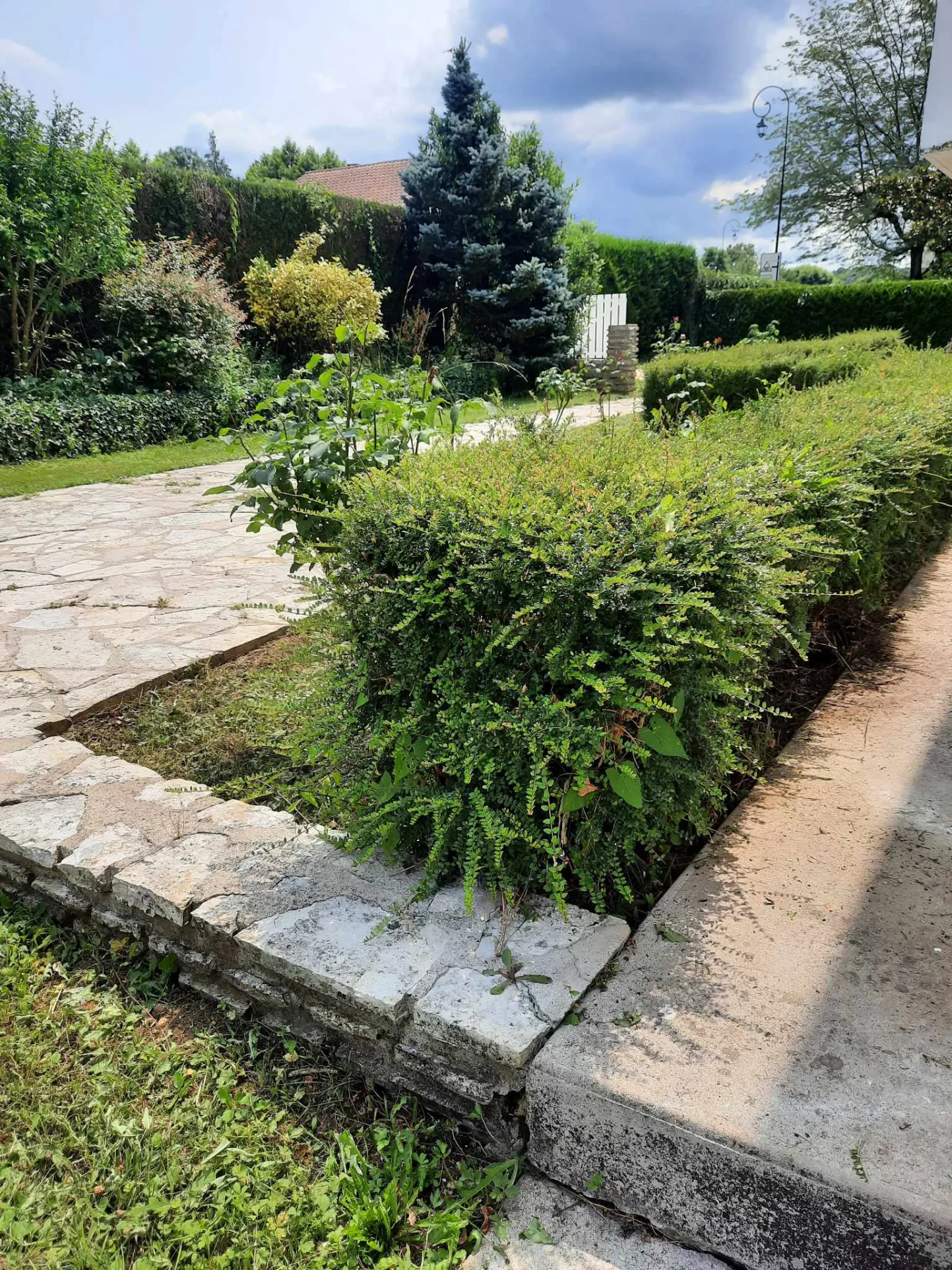 Maison à Sauveterre La Lémance - Belle maison avec grand parc ombragé 