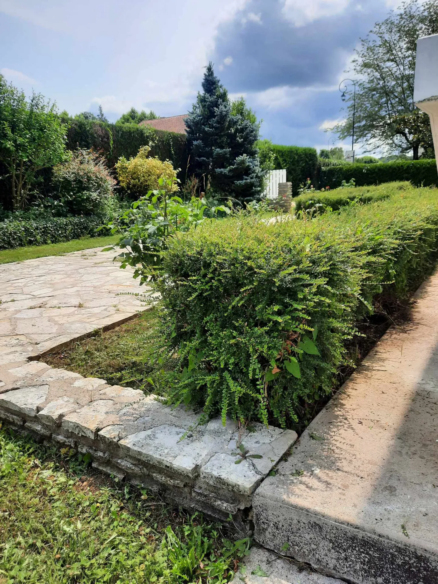 Maison à Sauveterre La Lémance - Belle maison avec grand parc ombragé 