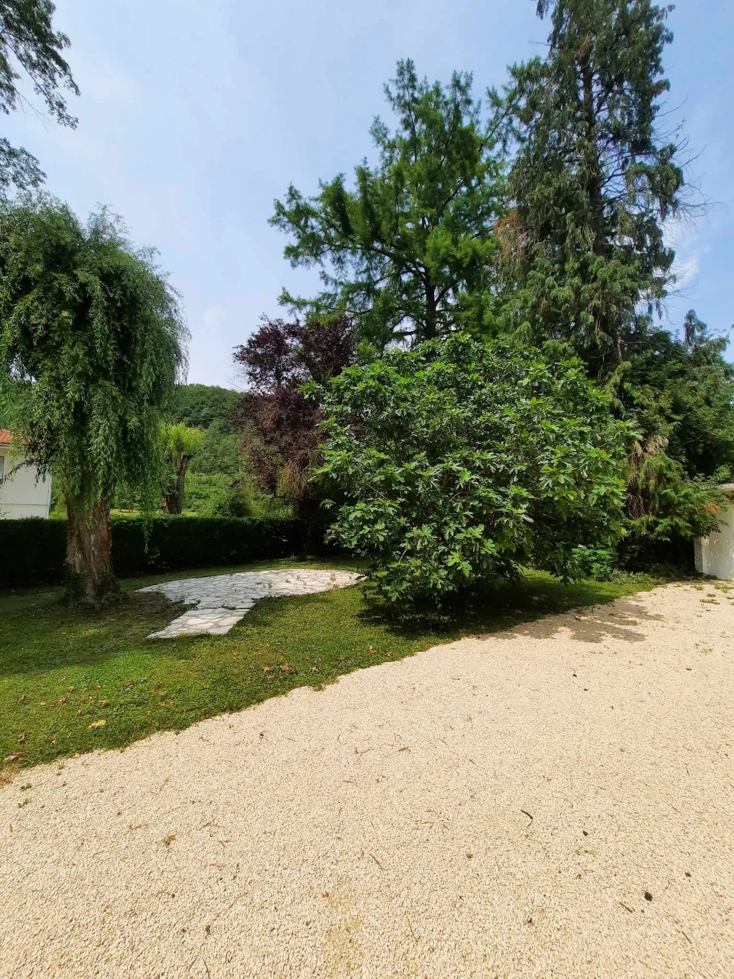 Maison à Sauveterre La Lémance - Belle maison avec grand parc ombragé 