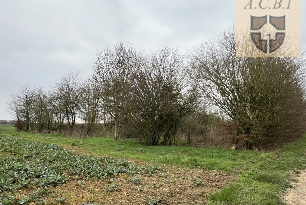 Corps de Ferme de plain pied à Saint Léonard en Beauce 