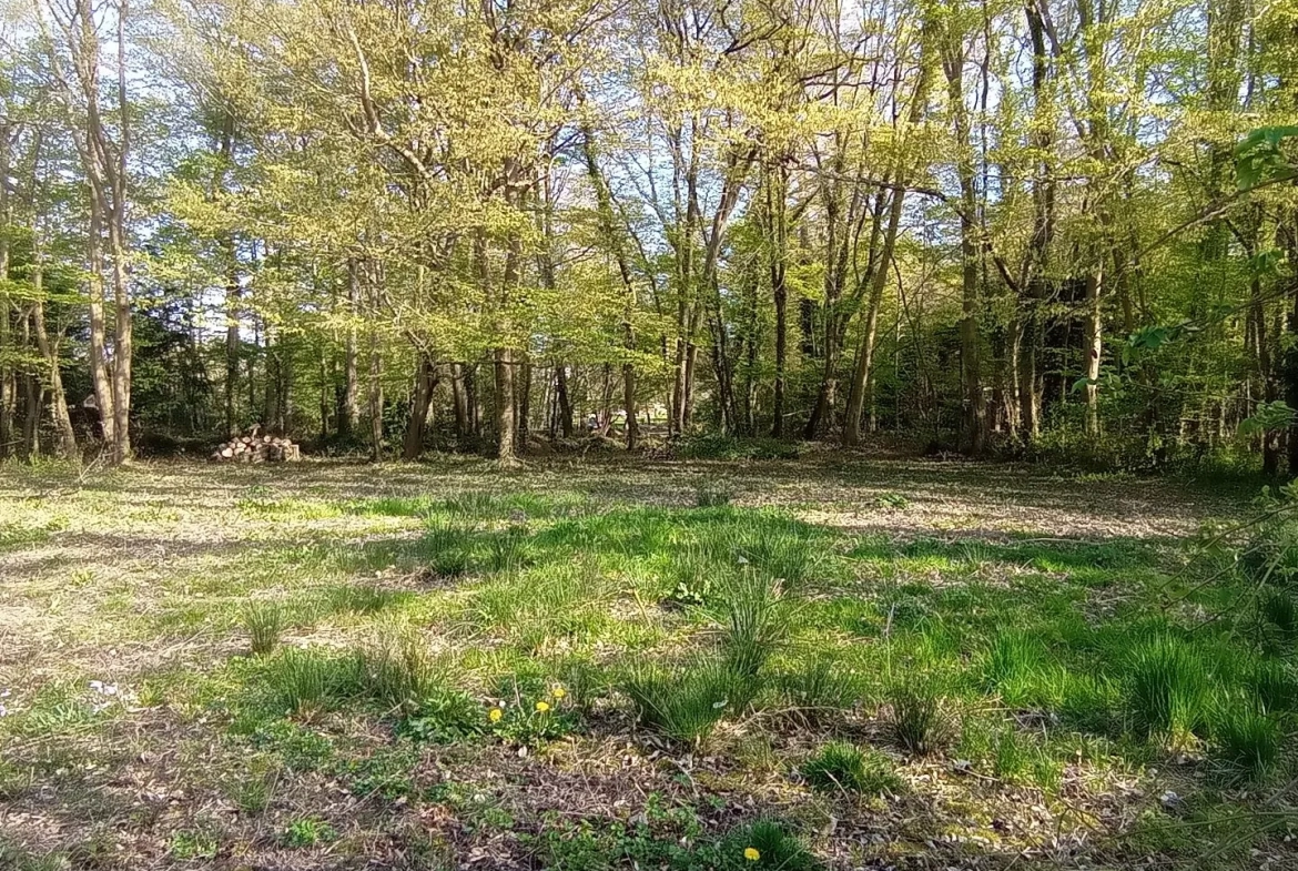 Terrain à bâtir de 1513 m2 à Montfort l'Amaury 