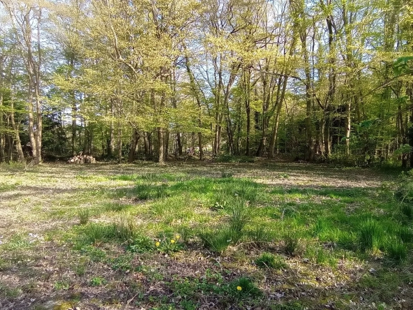 Terrain à bâtir de 1513 m2 à Montfort l'Amaury