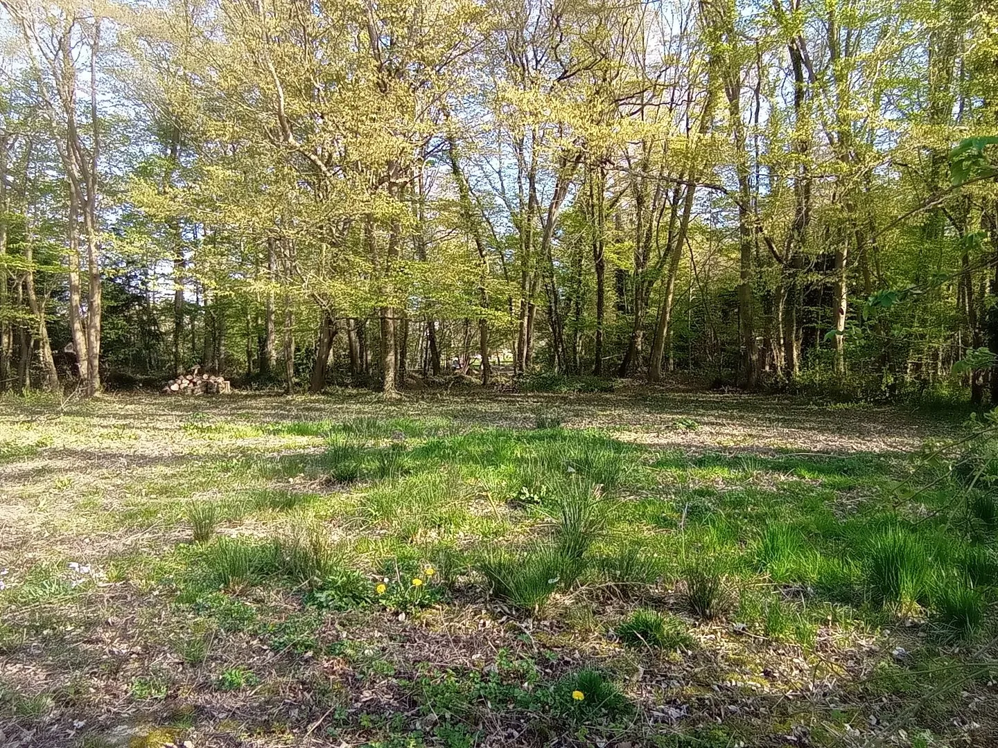 Terrain à bâtir de 1513 m2 à Montfort l'Amaury 