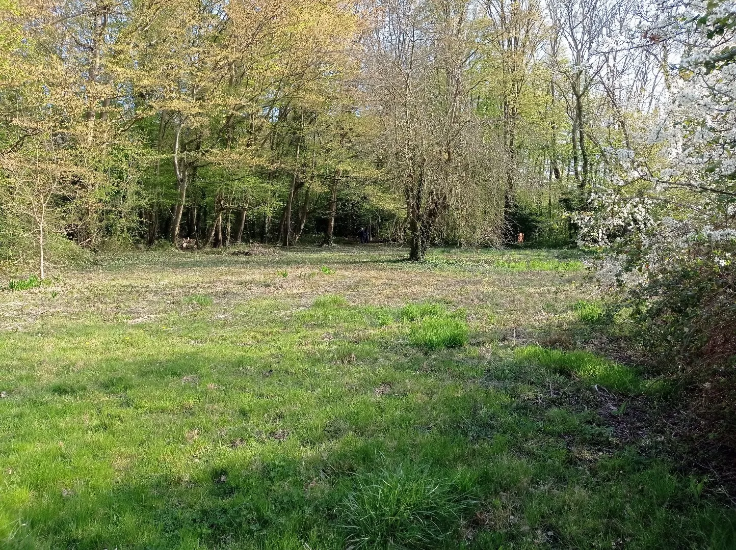 Terrain à bâtir de 1513 m2 à Montfort l'Amaury 