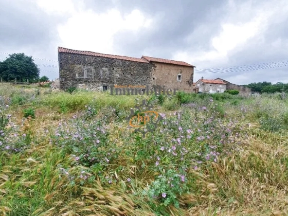 Charmante maison de pays avec bergerie attenante à Fondamente