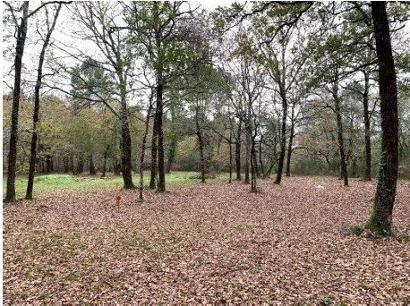 Terrain de 1569m2 à vendre à Saint-Vivien-De-Médoc