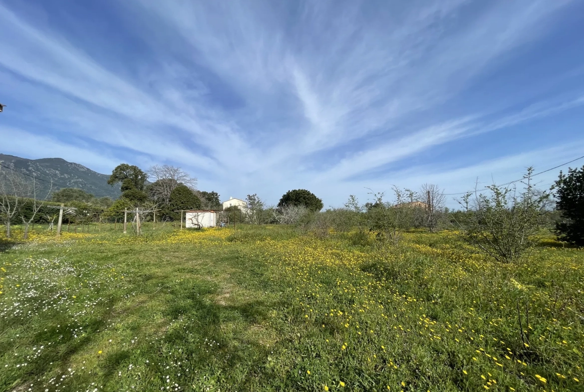 Terrain plat 1240m2 à Prunete avec vue sur plage et montagne 