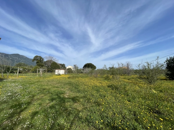 Terrain plat 1240m2 à Prunete avec vue sur plage et montagne