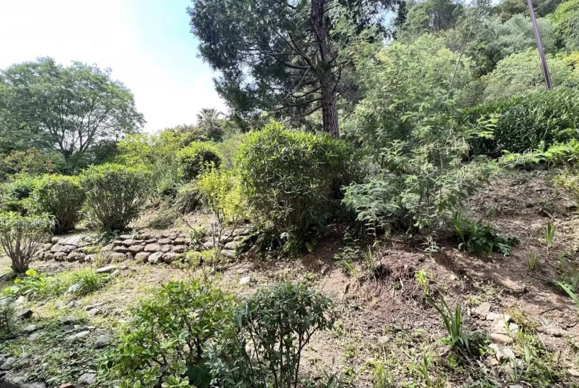 Appartement meublé traversant avec place de parking et cave à Amelie les bains palalda 