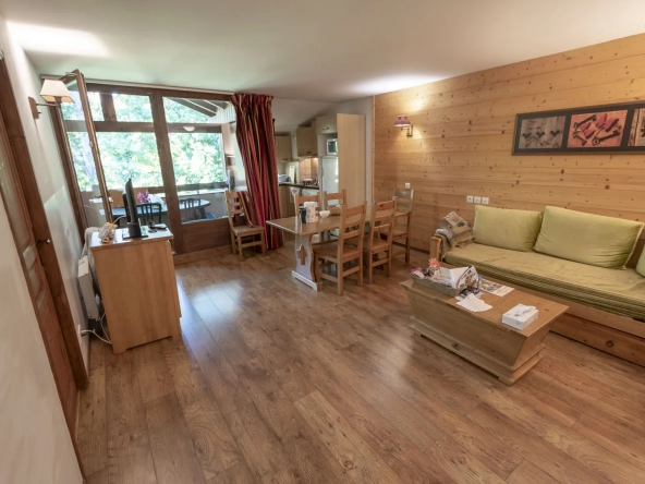 Appartement T3 avec coin montagne à Brides Les Bains - Les 3 Vallées