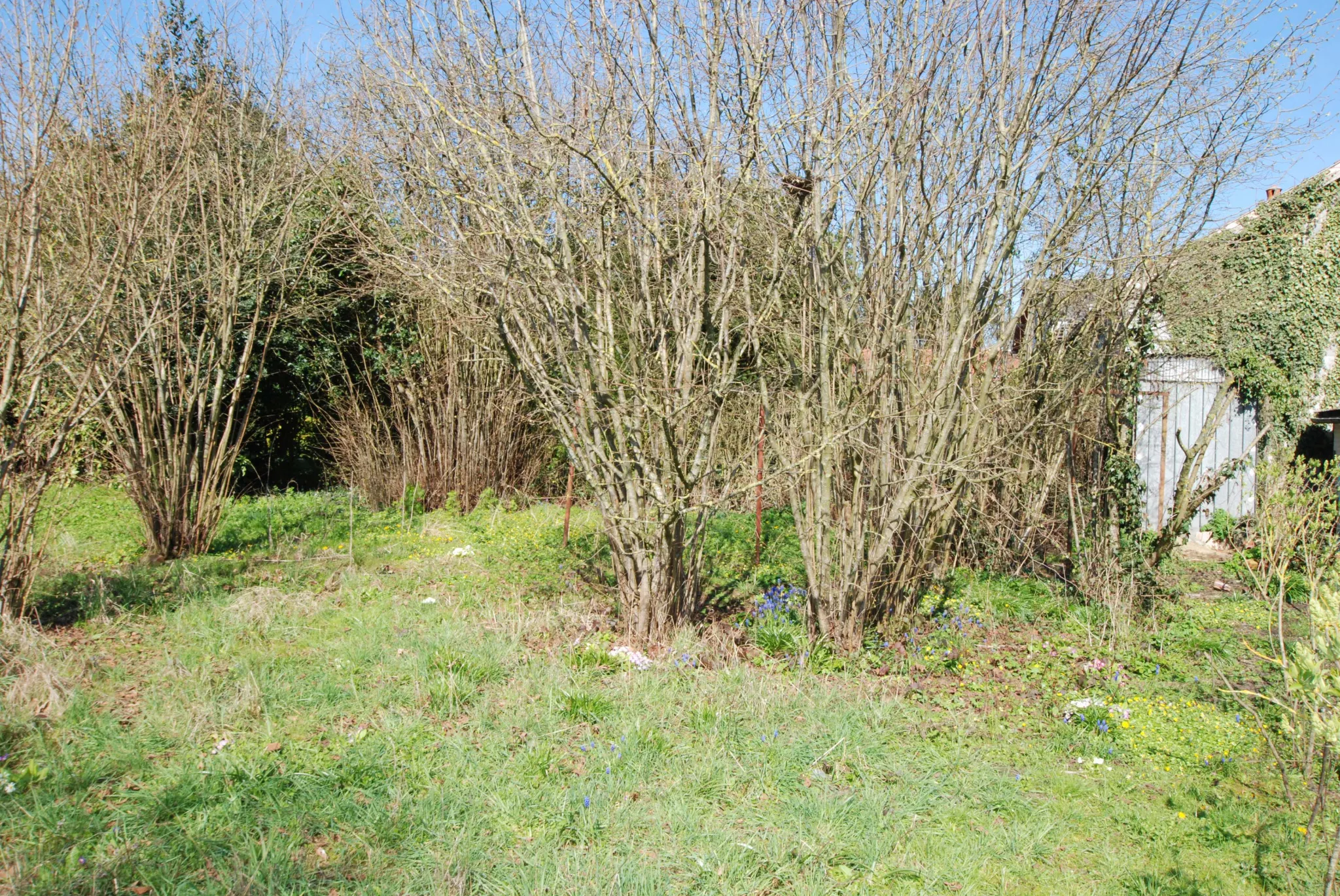 Maison individuelle en très bon état général à Beugnies 