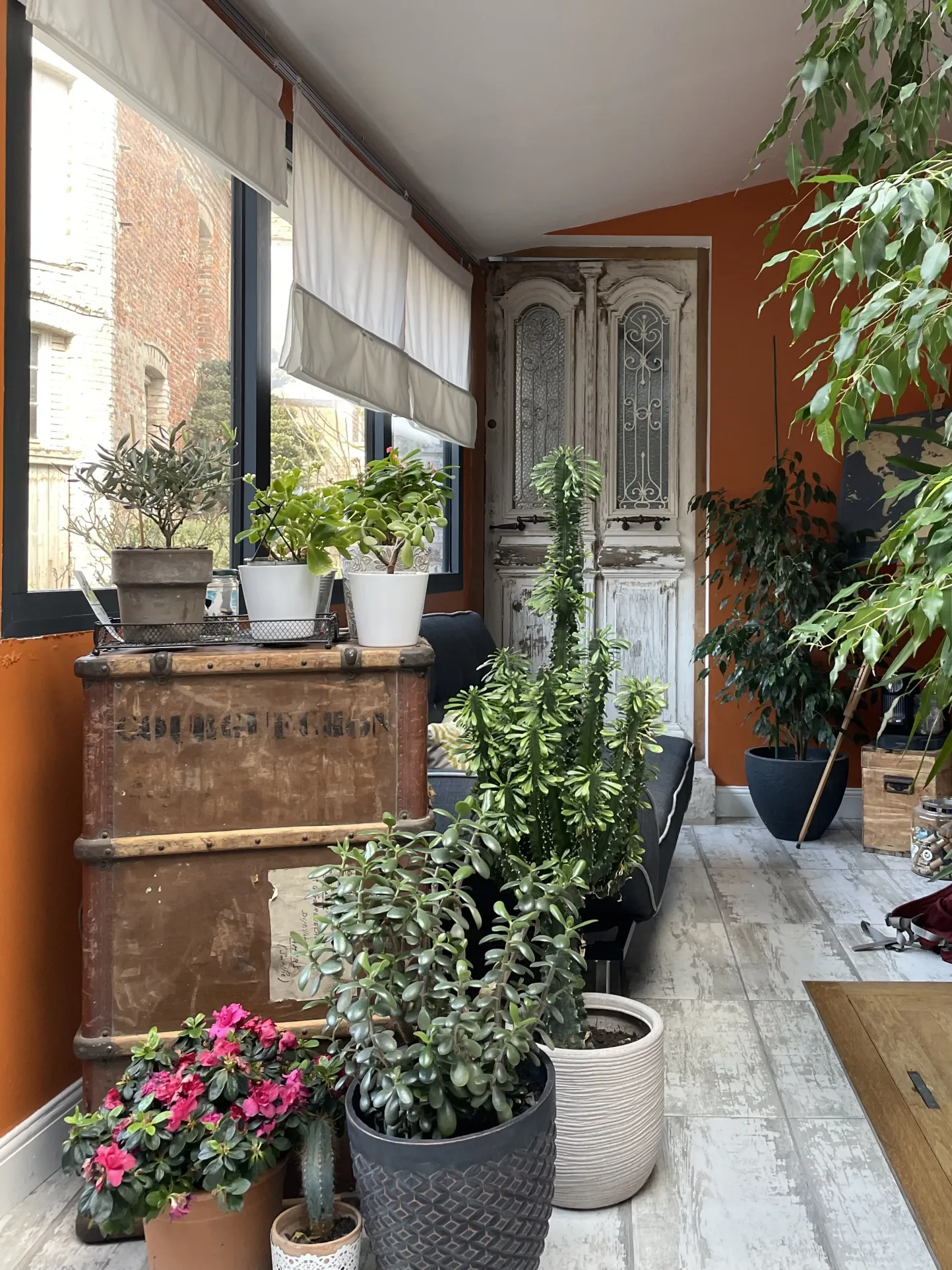 Maison de ville avec jardin, dépendance et cave à vendre 