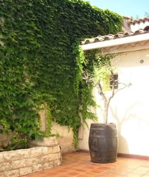 Appartement Type 2 avec Terrasse et Parking à Saint Maximin la Sainte Baume 