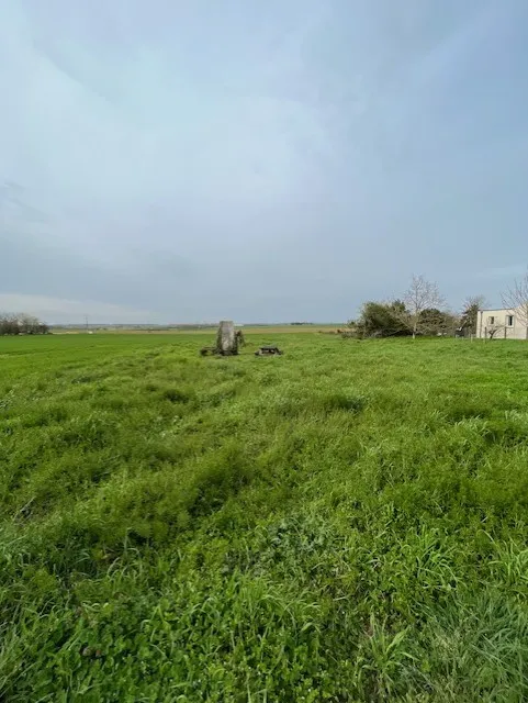 Terrain non viabilisé - à bâtir 