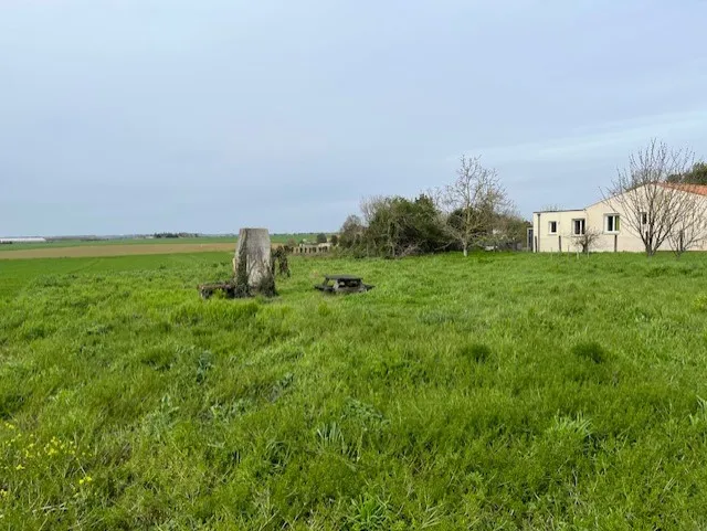 Terrain non viabilisé - à bâtir 