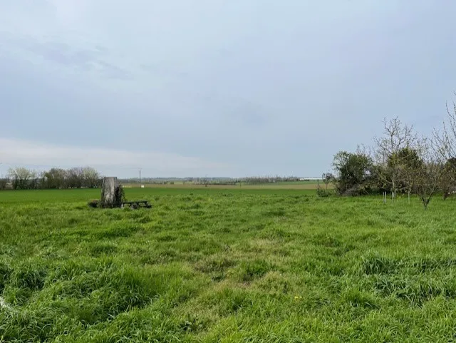 Terrain non viabilisé - à bâtir 