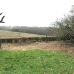 Terrain avec des droits à bâtir à Saint-Thuriau