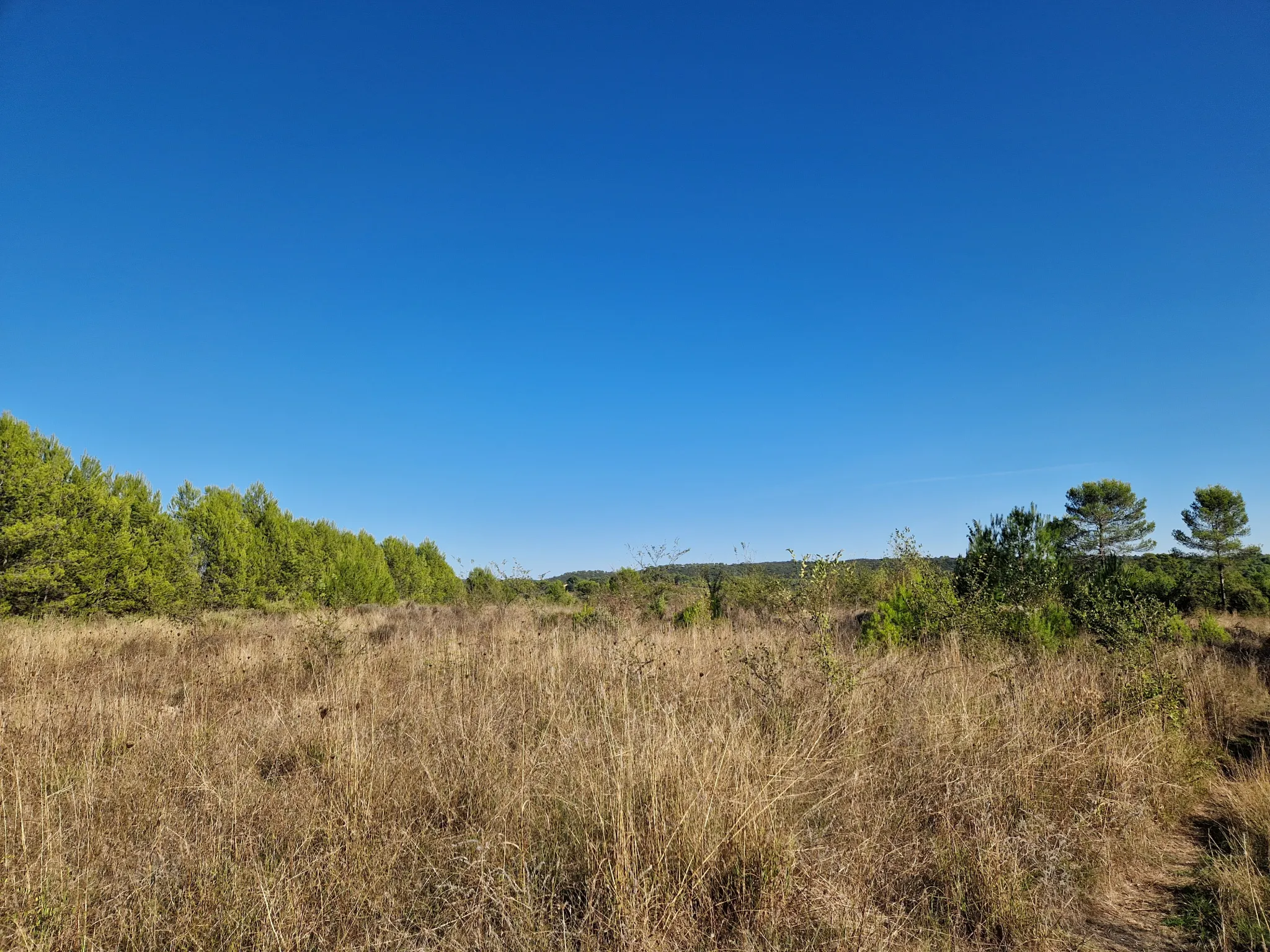 Terrain en zone naturelle avec vue proche de Combas 