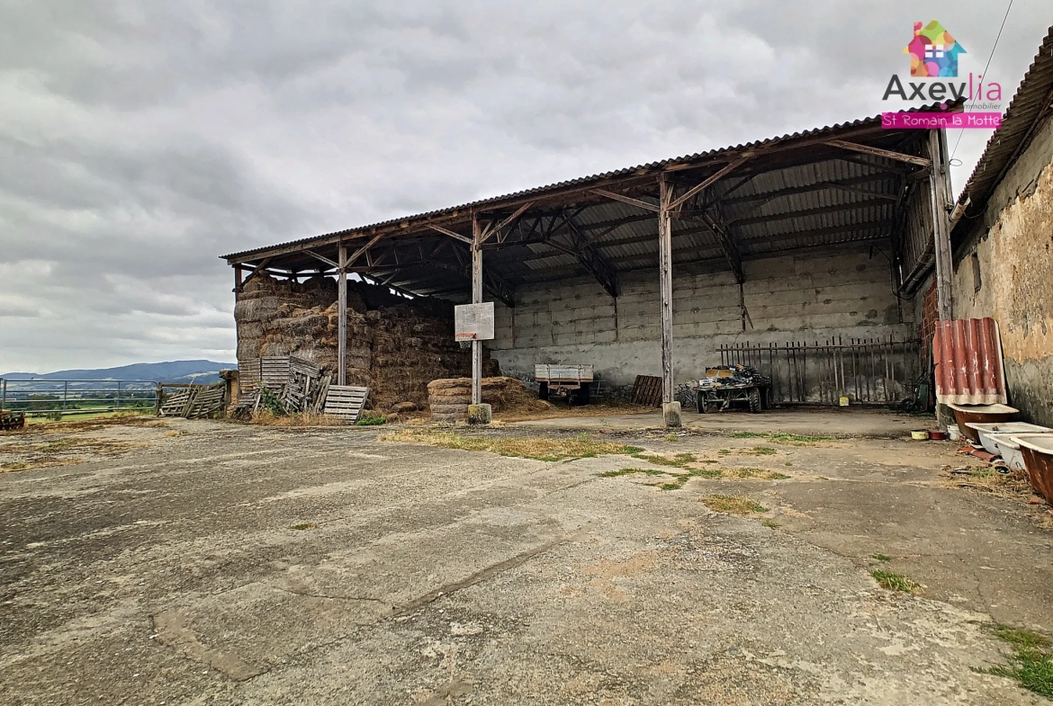 A VENDRE - SECTEUR RENAISON - ANCIEN CORPS DE FERME 